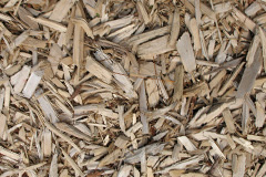 biomass boilers Brymbo
